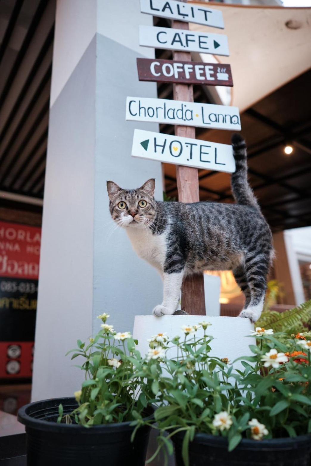 Chorlada Lanna Hotel Chiang Mai Exterior foto